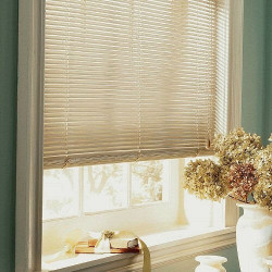 High-Gloss Vinyl Privacy Blinds